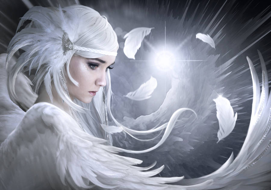 white_feathers_by_elenadudina_dce6tzm-fullview Anđeoski zapisi | Soul Art